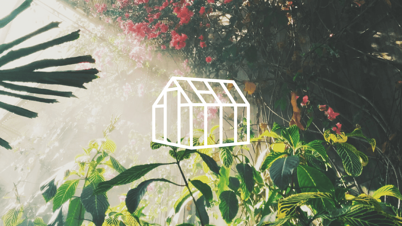 The Greenhouse community